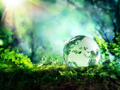 Поздравление со Всемирным днем окружающей среды Председателя Думы города Алексея Сатинова