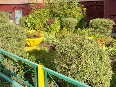 «Зеленый Нижневартовск»: итоги конкурса