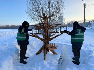 В Нижневартовске оборудуют места для кормления птиц В Нижневартовске оборудуют места для кормления птиц