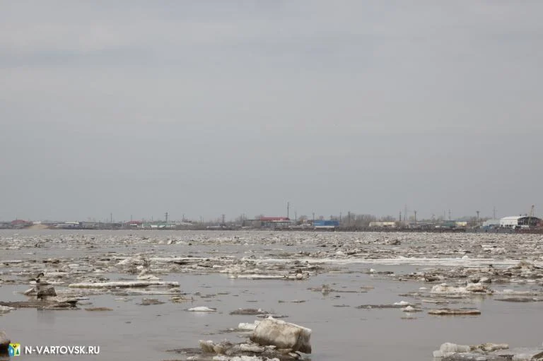 УРОВЕНЬ ВОДЫ В РЕКЕ ОБИ НА 7 МАЯ