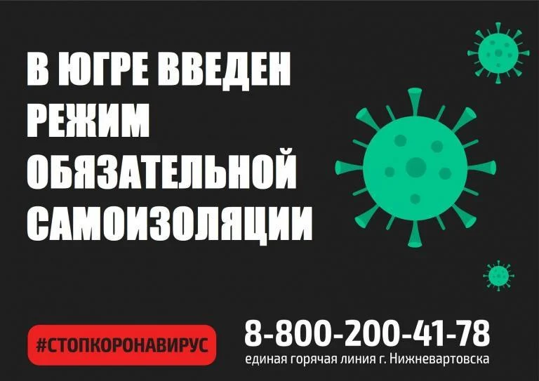 Продуктовые наборы вартовчанам в возрасте 65+ доставят волонтеры /ФОТО, ИНФОГРАФИКА/