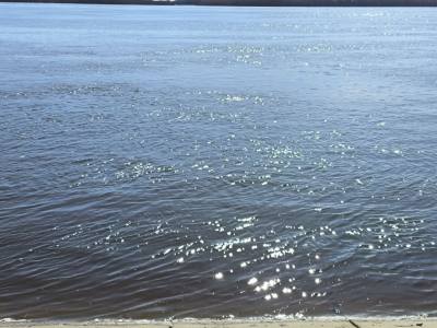 Уровень воды в Оби на 1 июля Уровень воды в Оби на 1 июля