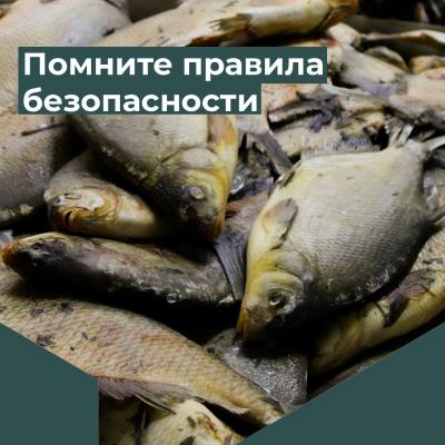 Несертифицированная рыбная продукция опасна для здоровья