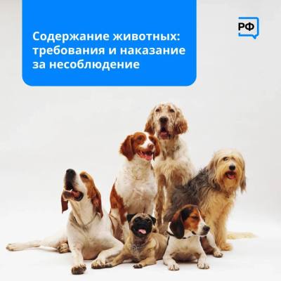 Содержание животных: требования и наказание за несоблюдение /ФОТО/ 