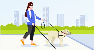 Информация по обеспечению беспрепятственного доступа граждан с инвалидностью по зрению с собакой-проводником к объектам предоставления услуг