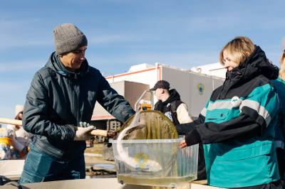 Биоресурсы реки Оби пополнились краснокнижным осетром Биоресурсы реки Оби пополнились краснокнижным осетром