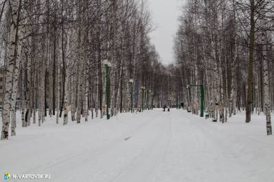 Утверждена схема озеленения городского парка /ВИДЕО/ 