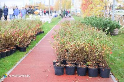 Подведение итогов Подведение итогов