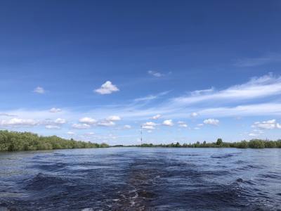 Уровень воды в Оби на 1 июля