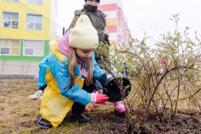 При поддержке СИБУРа в Нижневартовске появилась аллея Поколений с более 450 деревьями и кустарниками